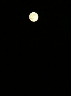 moon-viewing8.jpg