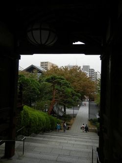 護国寺４.jpgのサムネール画像