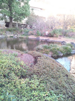 DSC_1120.JPG